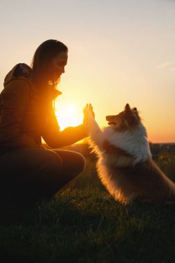 Köpek sahibiyle el sıkışıyor. Kadın ve evcil hayvanı arasındaki arkadaşlık.