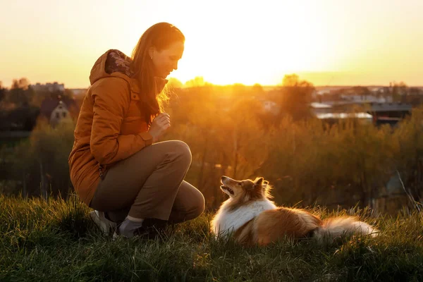 Chien Heureux Avec Propriétaire Pendant Coucher Soleil — Photo