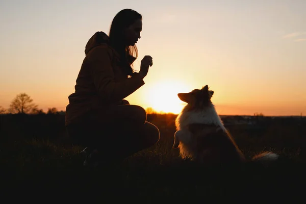 Propriétaire Forme Son Chien Entraînement Obéissant Pendant Coucher Soleil — Photo