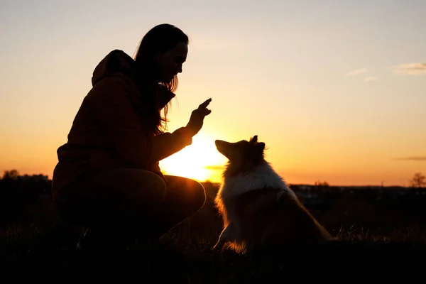 Der Besitzer Trainiert Seinen Hund Gehorsam Trainieren Bei Sonnenuntergang — Stockfoto