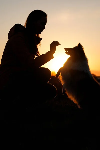 Dueño Entrena Perro Entrenamiento Obediente Durante Puesta Del Sol —  Fotos de Stock