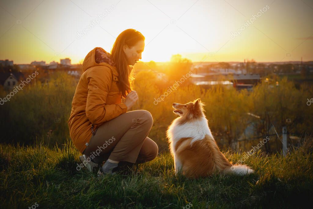 Train your pet at sunset. The friendship between owner and dog