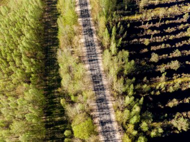 Yolun havadan görünüşü. Ağaçların gölgeleri asfaltta