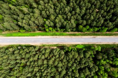 Ormanın içinden geçen yol. Üst görünüm
