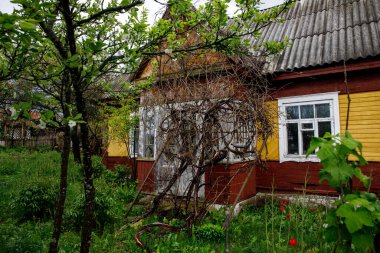 Old abandoned village house with plants on the porch.