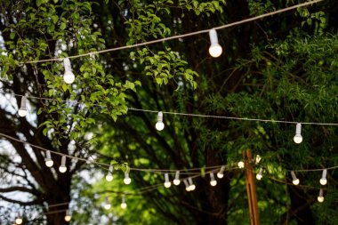 Ilık sarı ışıklı elektrikli parlak ampuller..