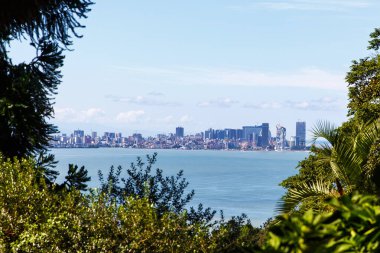 Batumi 'nin ağaç dalları üzerinden görüntüsü