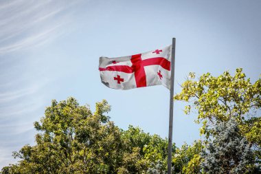 Yeşil ağaçların arka planında Gürcistan bayrağı