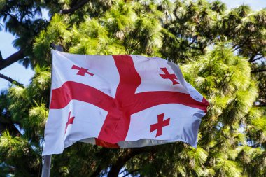 Yeşil ağaçların arka planında Gürcistan bayrağı