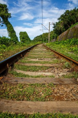 Demiryolu Yeşil doğada