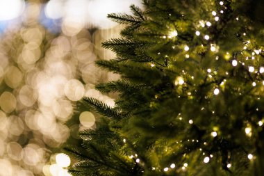 Üzerinde ışık olan bir Noel ağacı. Ağaç ışıl ışıl ve sıcak, samimi bir hissi var.