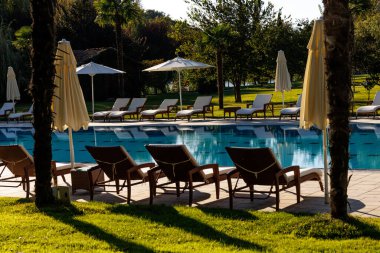 Palmiye ağaçları, şemsiyeler ve güneşlik yataklarla çevrili tatil köyü havuzu. Tropikal tatil atmosferi gevşemeyi, boş zamanı ve güneşli yaz yolculuğunu temsil ediyor..