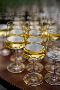 Beyaz şarapla doldurulmuş birkaç bardak, yumuşak doğal ışıkta, ahşap bir masanın üzerine düzgünce yerleştirilmiş..