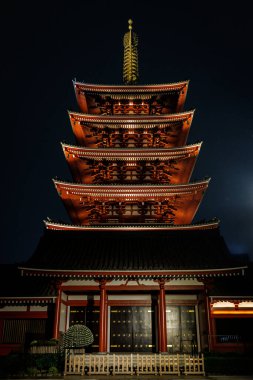 Geleneksel bir Japon beş katlı pagodası geceleri karanlık gökyüzüne karşı mimari detaylarını sergiliyor..