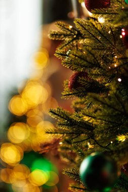 Parlak kırmızı süsler, yeşil bir köknar dalını altın bir bokeh 'in arka planına karşı süslüyor..