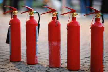 Çoklu kırmızı yangın söndürücüler açık hava ortamında asfalt zeminde sıra sıra bekliyor. Eğitim, teftiş ya da acil durum müdahalesi için hazırlanmış güvenlik ekipmanları.