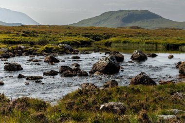 Koyu kayalarla dolu temiz bir akarsuyun zemin seviyesindeki manzarası arka planda dağlarla dolu otlak bir bozkırda akıyor..