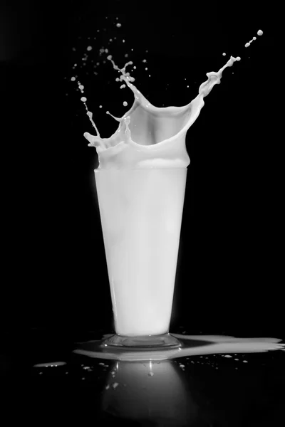 Plusk mleka na czarnym tle — Zdjęcie stockowe