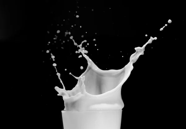 Salpicadura de leche sobre fondo negro — Foto de Stock