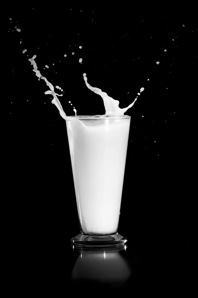 검은 배경에서 우유를 튀기는 모습 — 스톡 사진