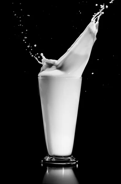 Melk plons op zwarte achtergrond — Stockfoto
