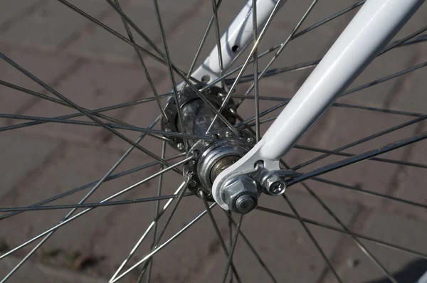 Front wheel of the bike. Bicycle hub. Closeup of a bicycle wheel. — Stock Photo, Image