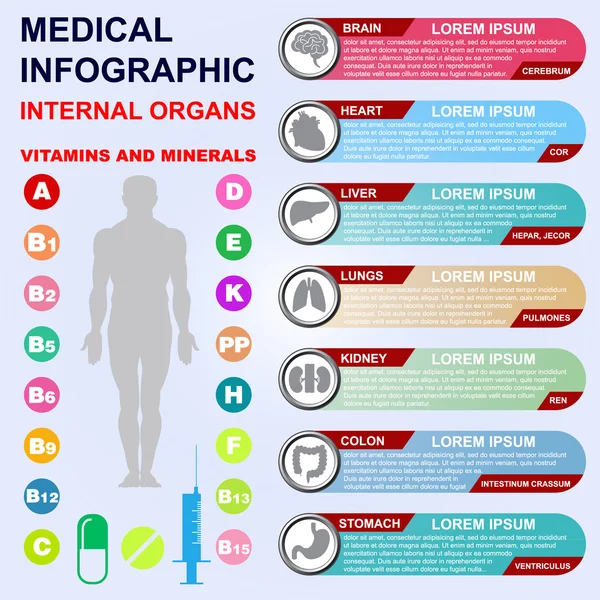 İç organları. Vitaminler ve mineraller.