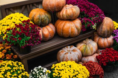 Cadılar bayramı için balkabağı ve çiçeklerle iç dekorasyon..