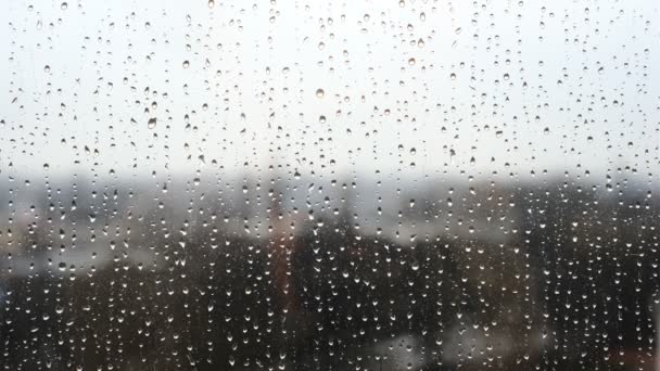 Yağmur Damlaları Pencereye Yakın Planda Akıyor Sonbahar Havası Dışarıda Sağanak — Stok video