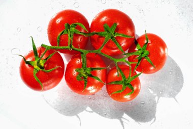 Beyaz arka plandaki bir dalda olgun domatesler. Sağlıklı sebzeler. İtalyan yemeği için maket malzemeleri.