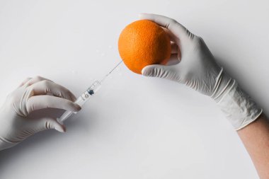 Laboratuvar asistanı portakala şırınga enjekte eder. Meyveler uzun vadeli depolama için işlenir. İşlenmiş sebzeler ve meyveler beyaz arka planda işlenir. genetik mühendislik modeli