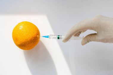 Koruyucu eldiven giyen laboratuvar teknisyeni portakal enjekte ediyor. Genetik mühendisliği. uzmanlar laboratuvar koşullarında yeni meyve çeşitleri elde ederler.