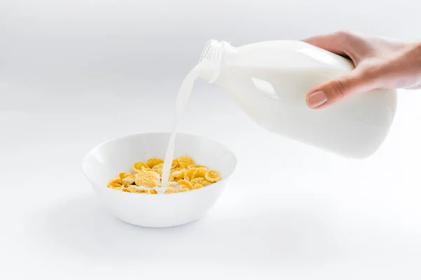 Cornflakes Met Melk Een Bord Een Witte Achtergrond Droog Snel — Stockfoto