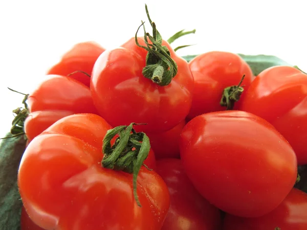 Tomates frescos — Foto de Stock