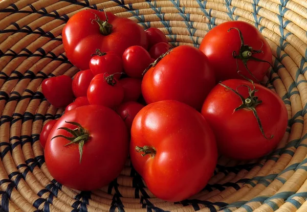 Tomates frescos en una canasta — Foto de Stock