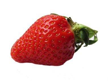 Beyaz bir taze çilek