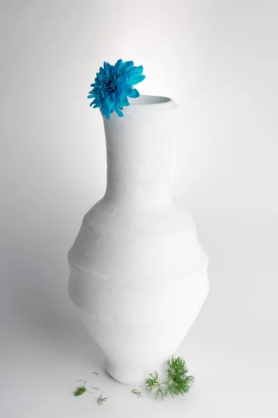 Vaso de cerâmica branca e flor azul no fundo branco — Fotografia de Stock