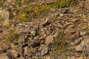 27 August 2025 Medeo Shymbulak Mountain Resort, Almaty City, Kazakhstan