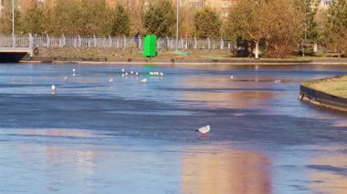 Astana Botanik Bahçesi, 20 Ekim 2025, Astana Şehri (Nur-Sultan), Kazakistan