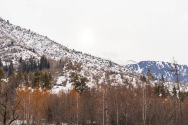 7 Aralık 2025, Medeo Shymbulak Dağı Tatil Köyü, Almaty Şehri, Kazakistan 