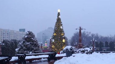 22 Aralık 2025, Al Farabi Caddesi, First President 's Park, Almaty City Kazakistan