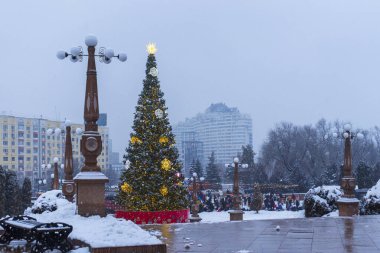 22 Aralık 2025, Al Farabi Caddesi, First President 's Park, Almaty City Kazakistan