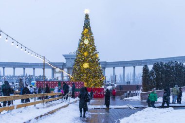 22 Aralık 2025, Al Farabi Caddesi, First President 's Park, Almaty City Kazakistan