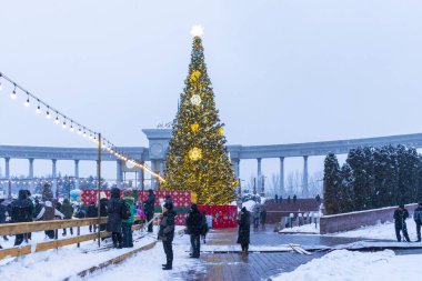 22 Aralık 2025, Al Farabi Caddesi, First President 's Park, Almaty City Kazakistan