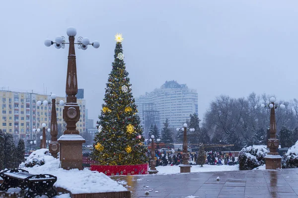22 Aralık 2025, Al Farabi Caddesi, First President 's Park, Almaty City Kazakistan