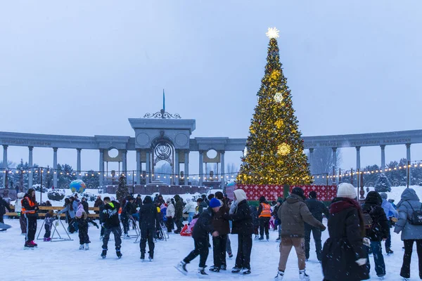 22 Aralık 2025, Al Farabi Caddesi, First President 's Park, Almaty City Kazakistan