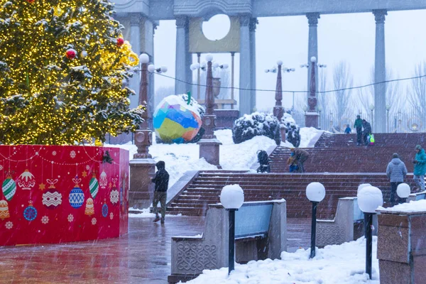 22 Aralık 2025, Al Farabi Caddesi, First President 's Park, Almaty City Kazakistan