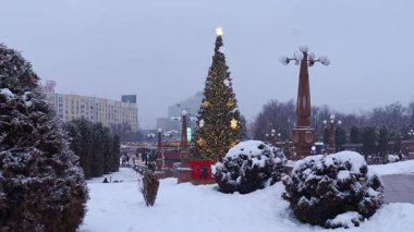 22 Aralık 2025, Al Farabi Caddesi, First President 's Park, Almaty City Kazakistan