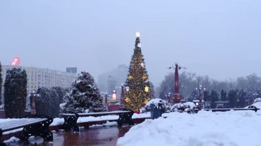 22 Aralık 2025, Al Farabi Caddesi, First President 's Park, Almaty City Kazakistan