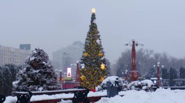 22 Aralık 2025, Al Farabi Caddesi, First President 's Park, Almaty City Kazakistan